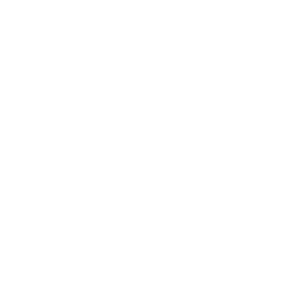 UN-Habitat Logo