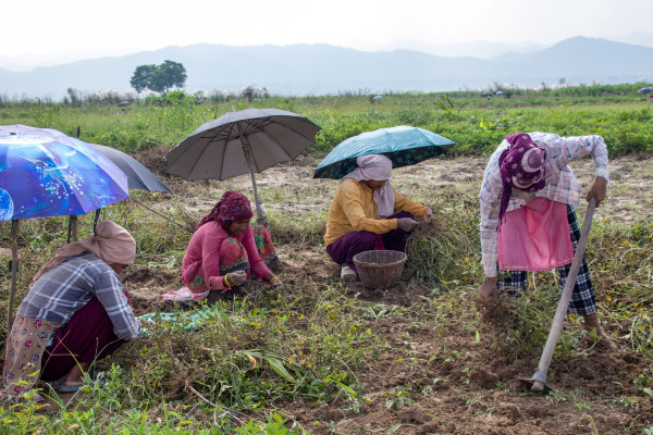 Building Hope: Resilient Homes in Lalitpur